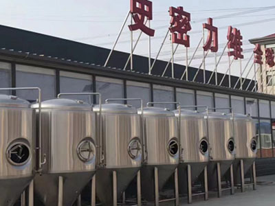 博望精酿啤酒设备厂—如何判断精酿啤酒设备的密封件需要更换？