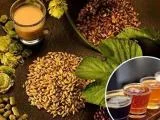 博望德国精酿啤酒设备价格小型德国鲜酿设备厂家